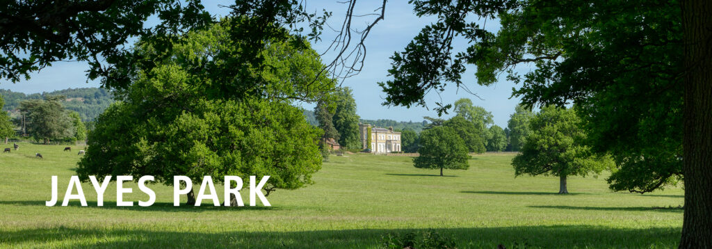 A large grassy park with scattered trees and a historic building in the distance under a blue sky. The words JAYES PARK appear in bold white letters on the left side of the image.